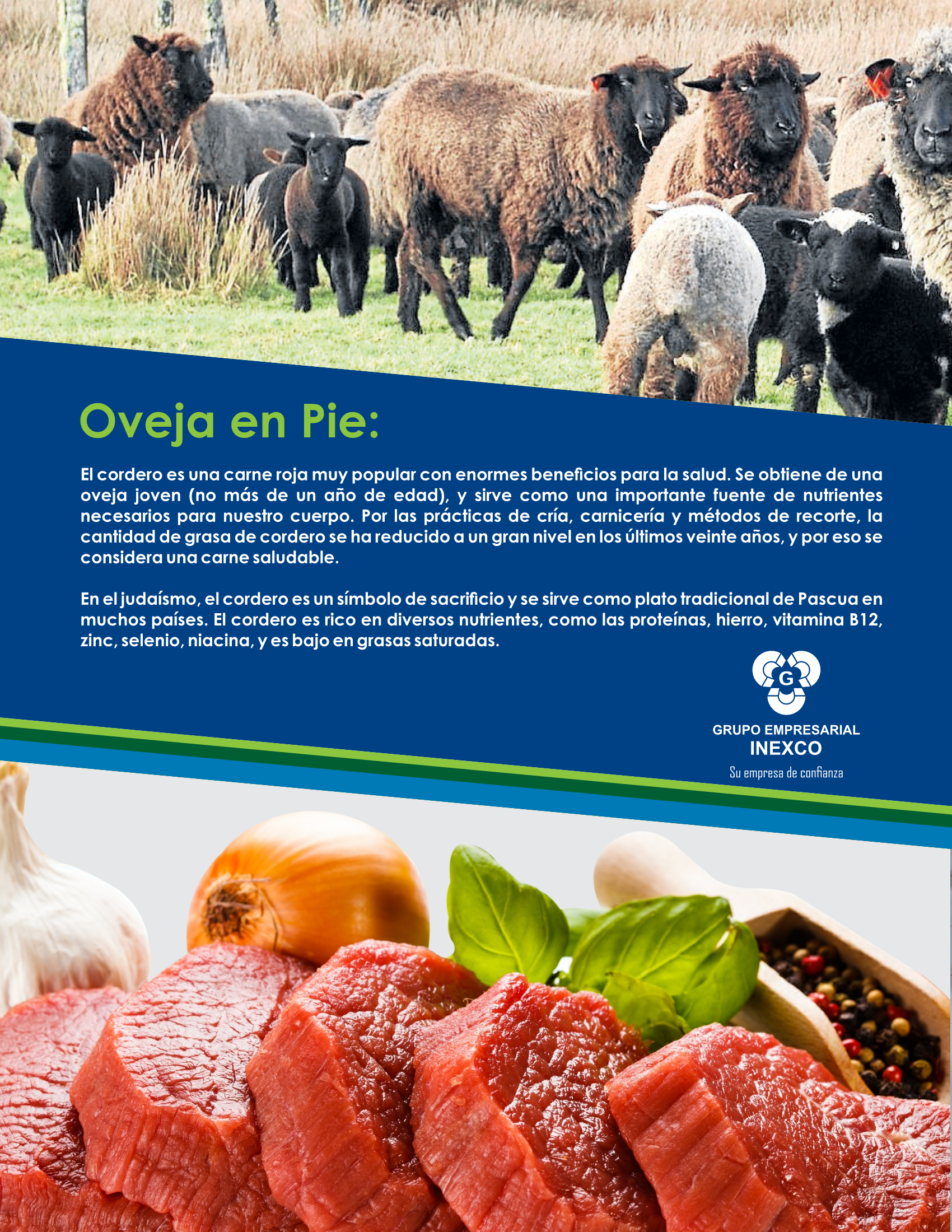 BROCHURE ALIMENTOS[1]_Page_8