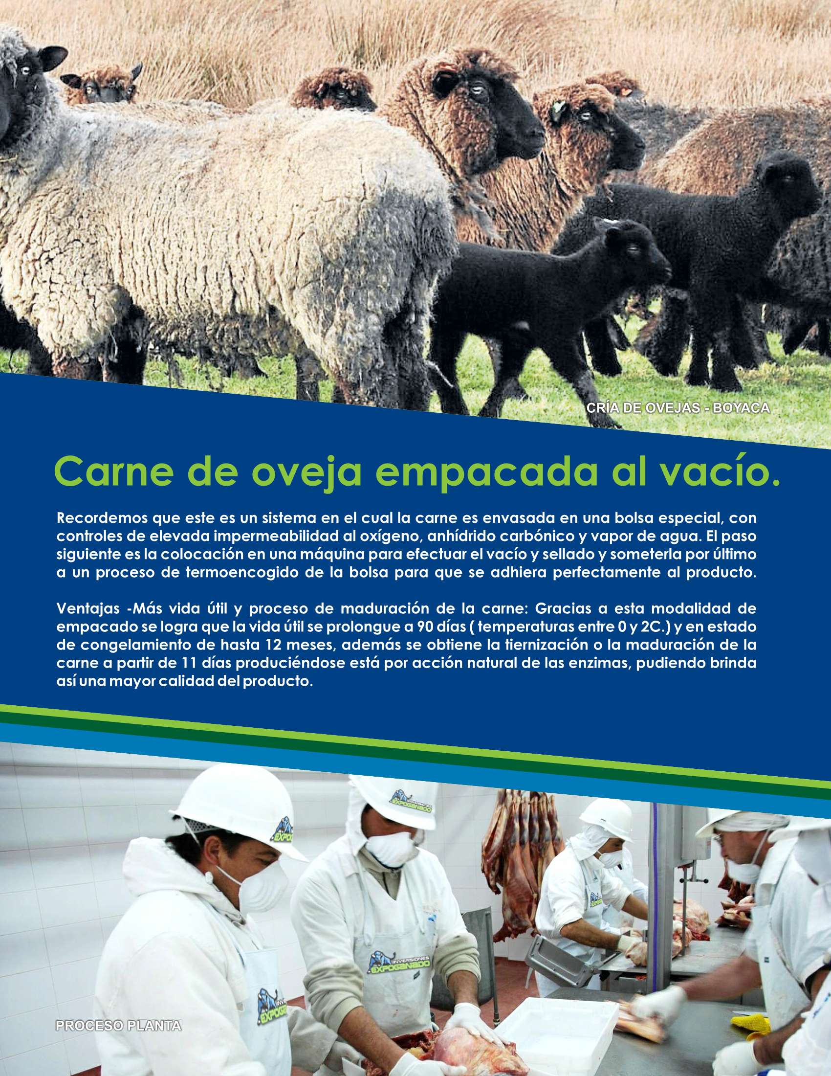 BROCHURE ALIMENTOS[1]_Page_9